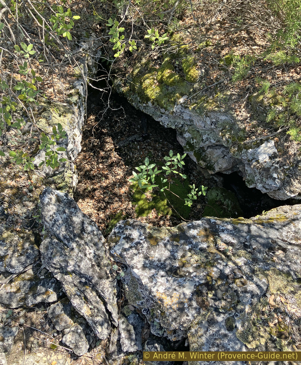 randos photo