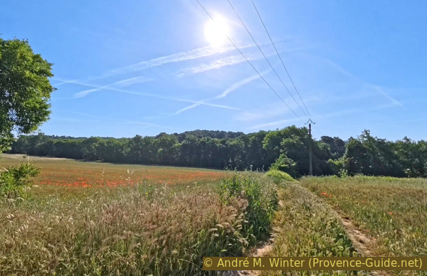 velos photo